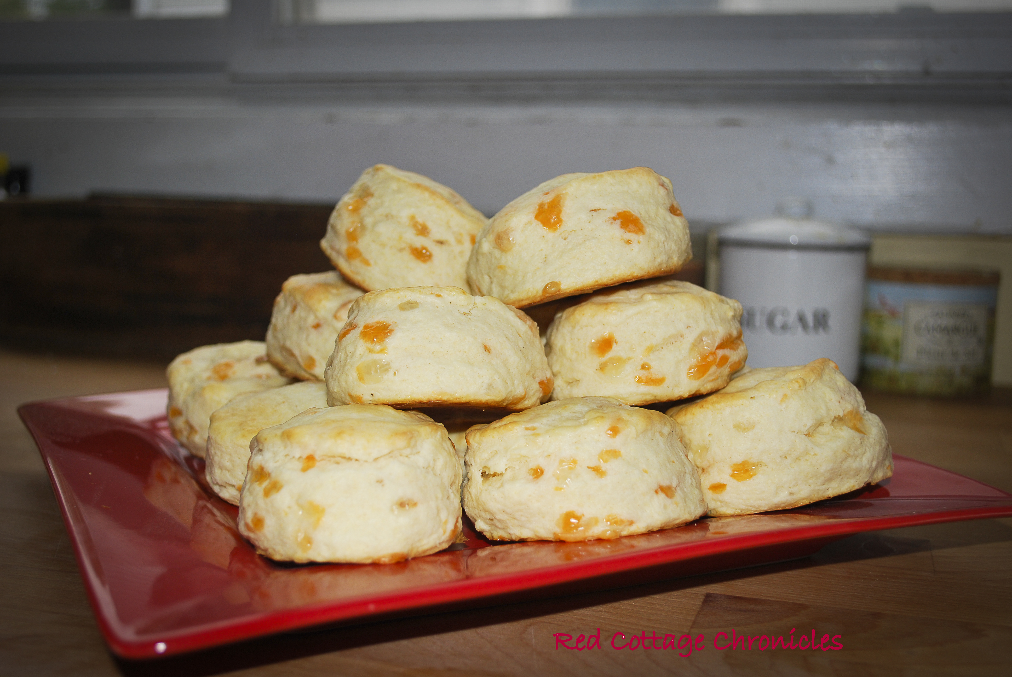 Cheddar Cheese Tea Biscuits