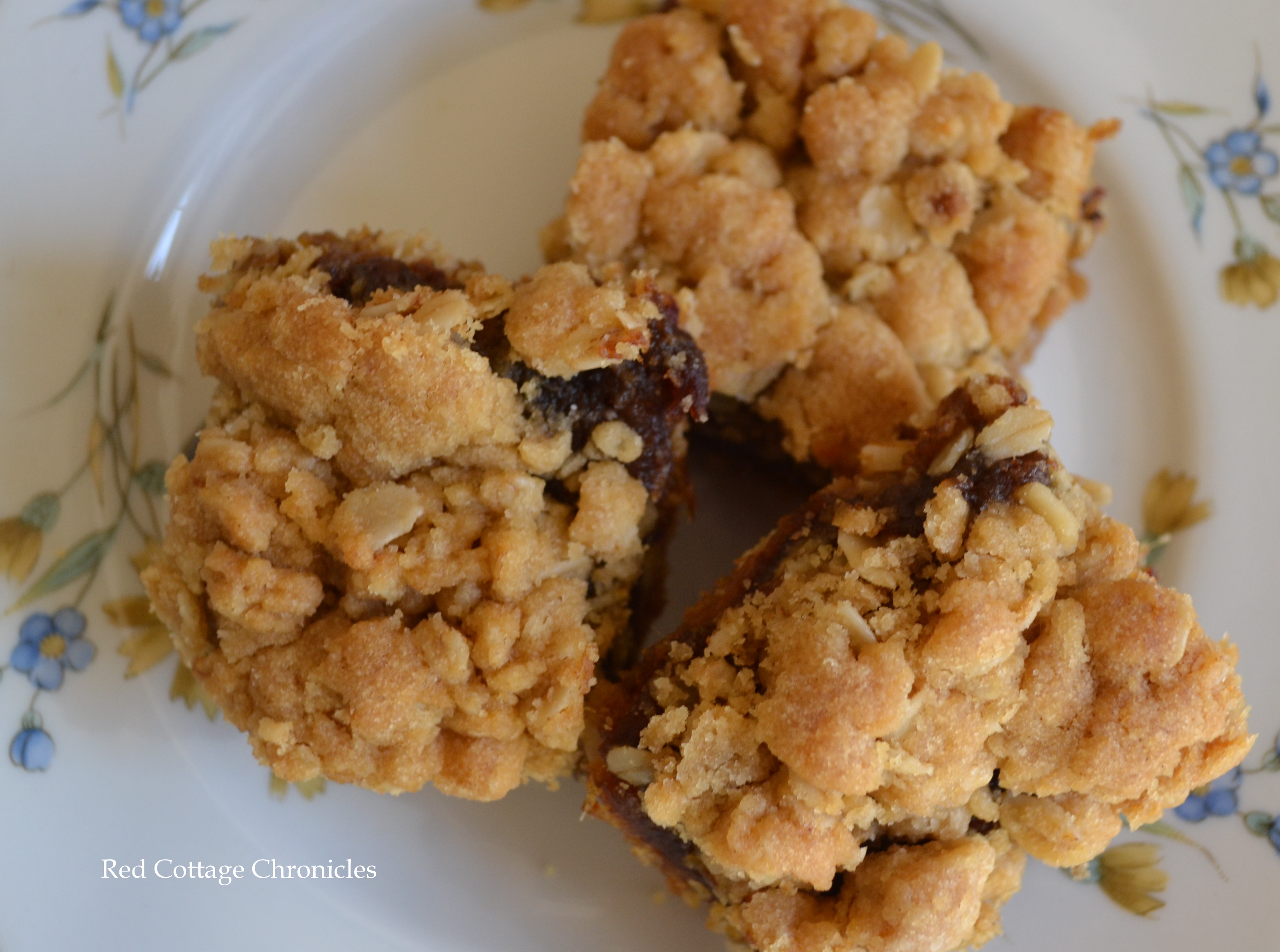 Date Squares with a citrus twist
