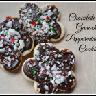 Chocolate Ganache and Pepperment Cookies