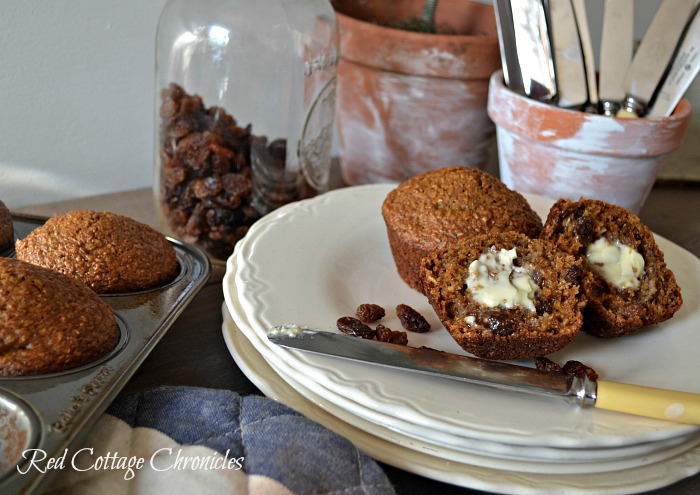 one bowl easy bran muffins