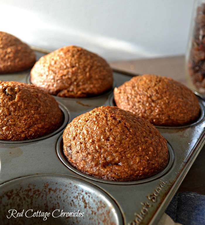 easy bran muffins only one bowl needed