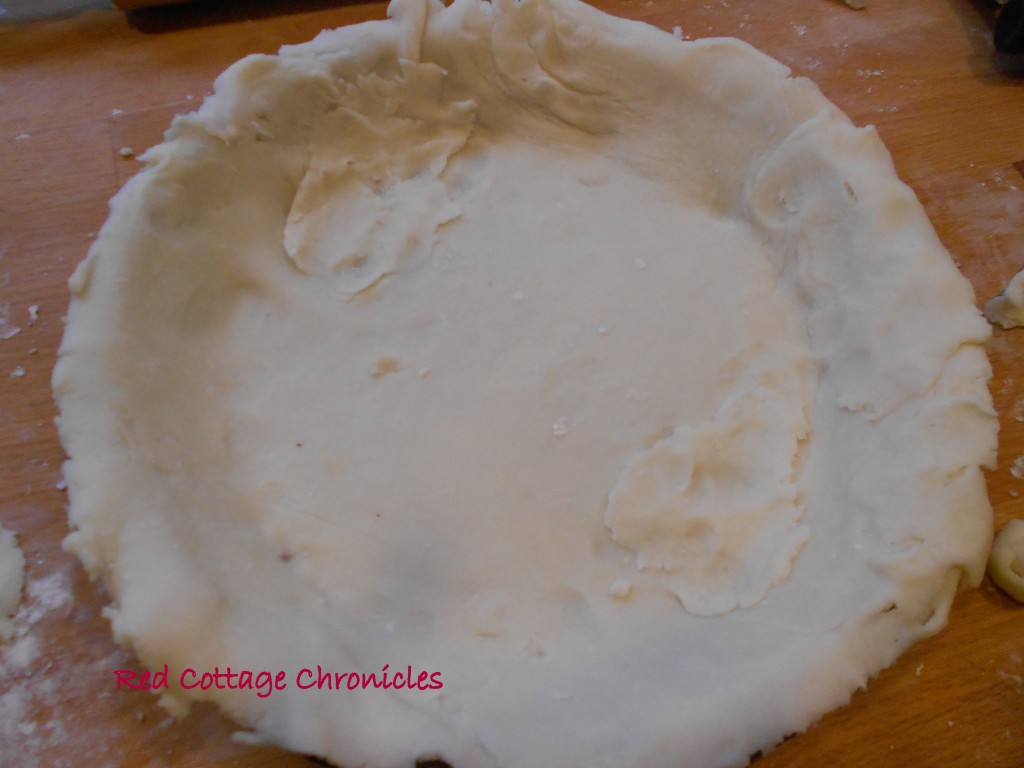 apple pie 3