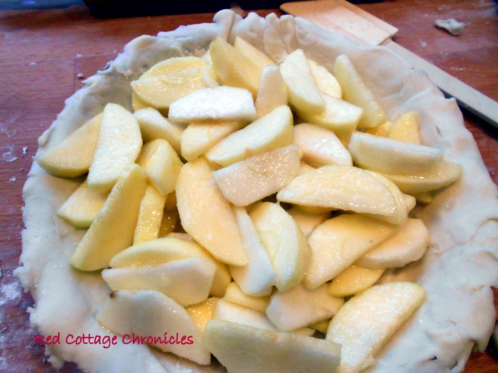 apple pie 4