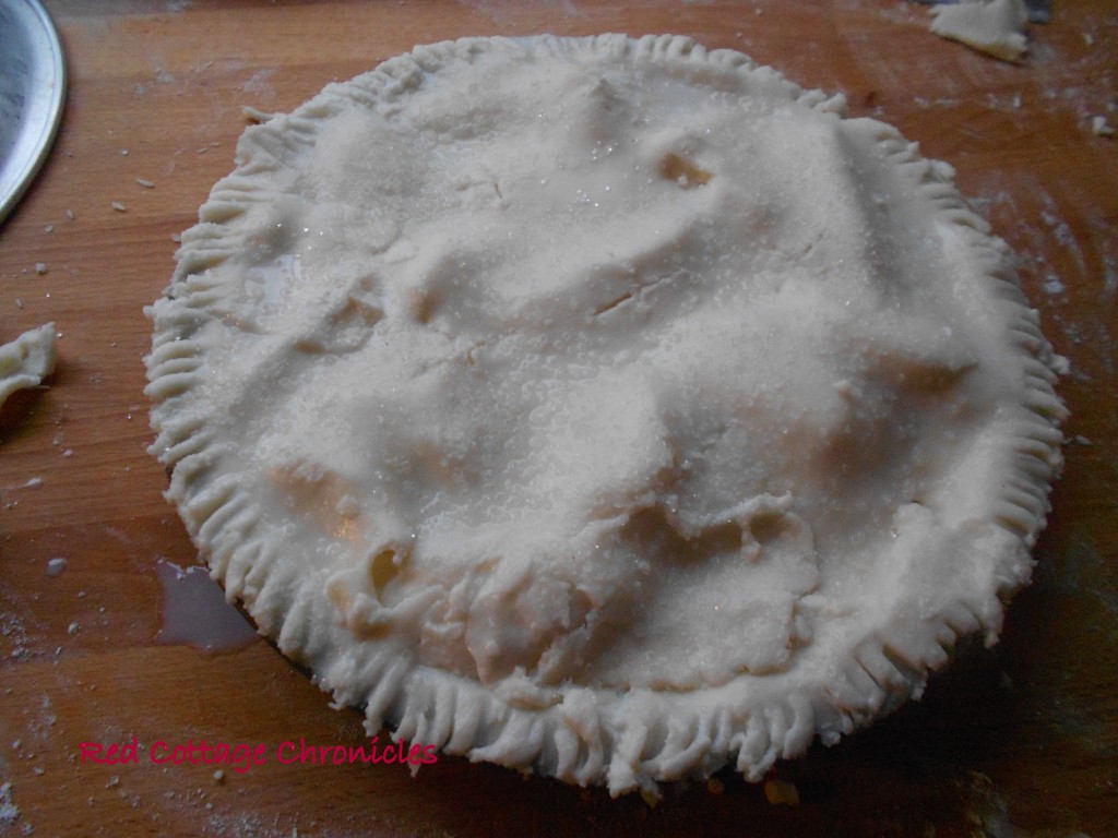 apple pie 6