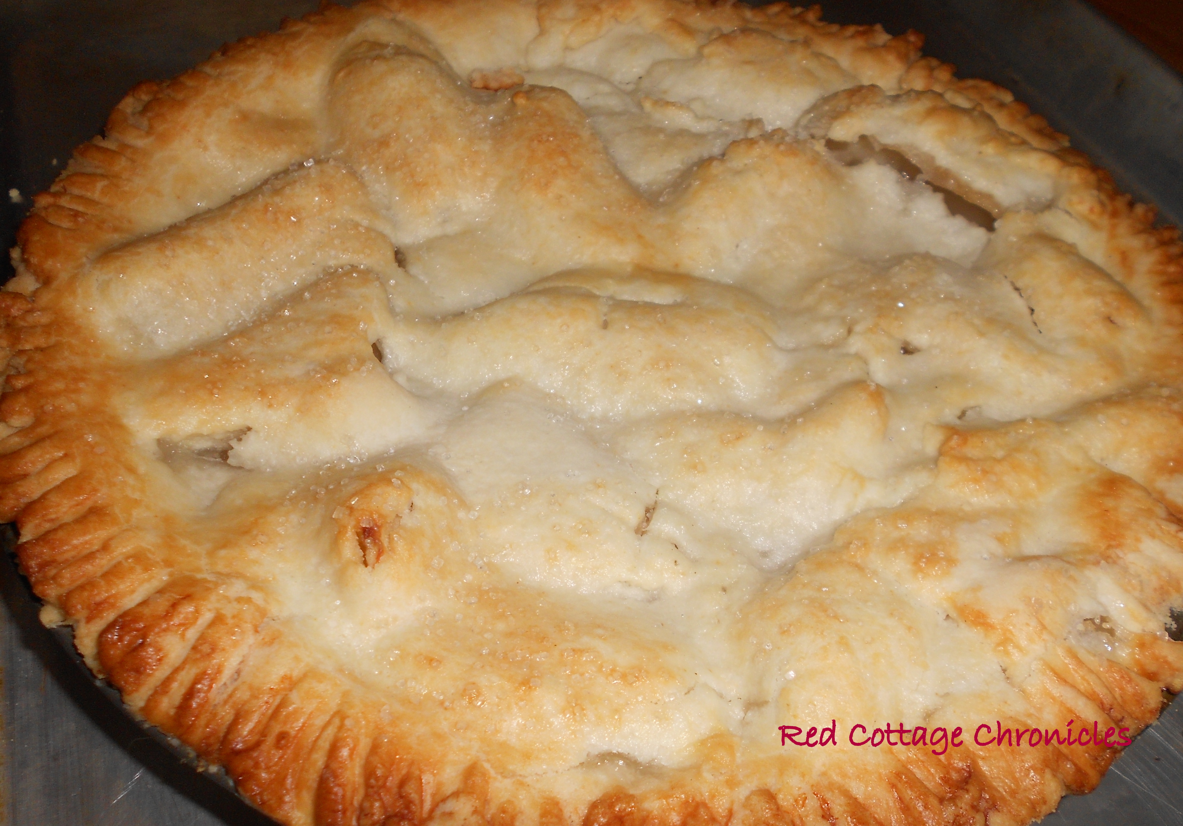 Nana’s Apple Pie Without Cinnamon