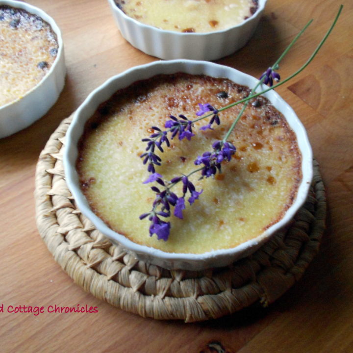 lavender creme brulee