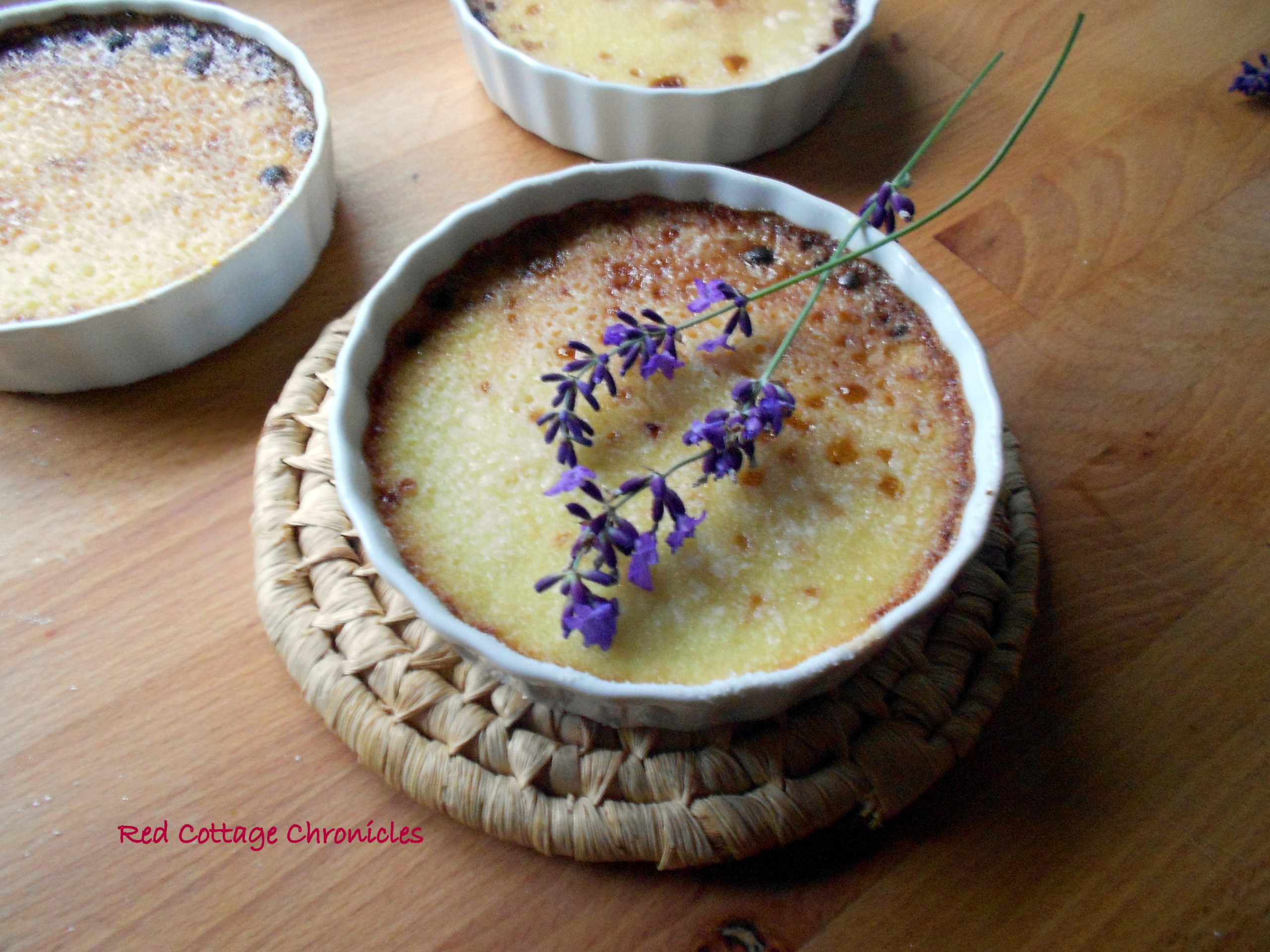 lavender creme brulee