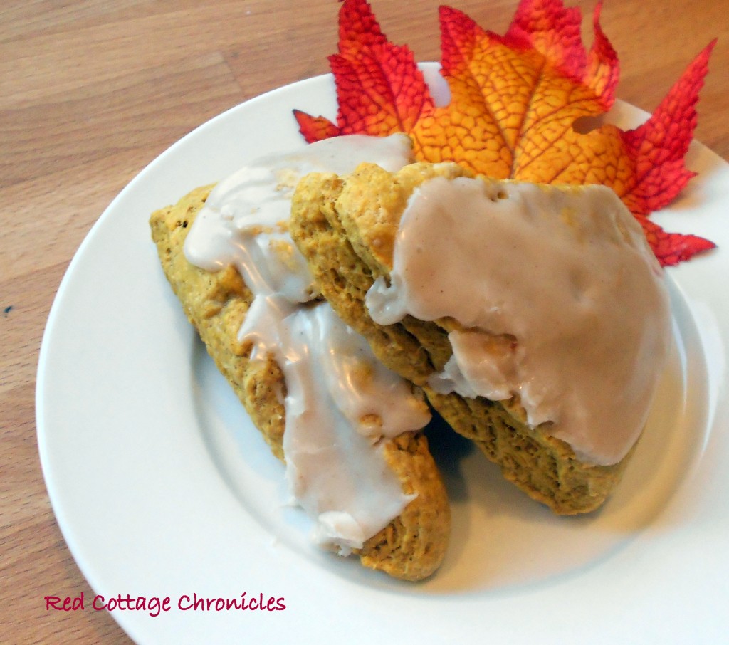 pumpkin scones