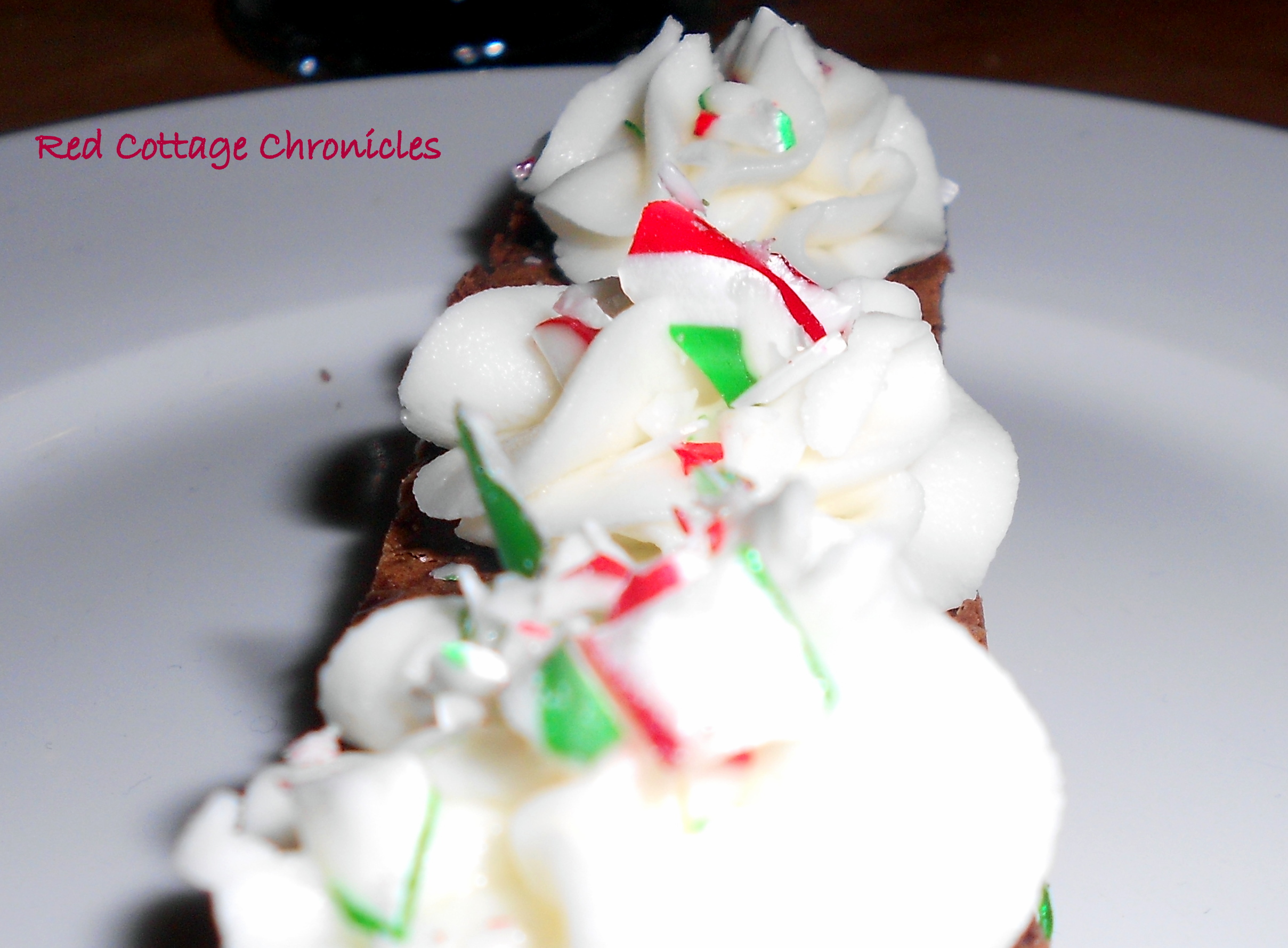 Double Chocolate Brownies with Peppermint Frosting