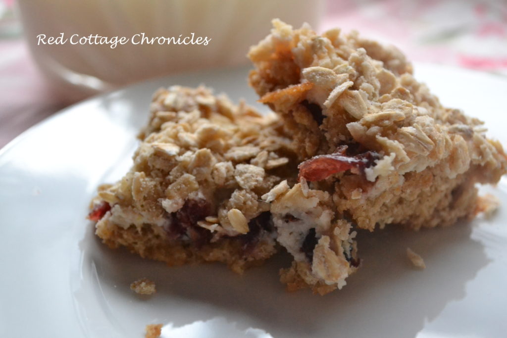 Cranberry Oatmeal Bars