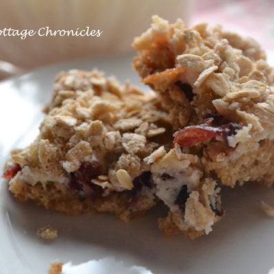 Cranberry Oatmeal Squares