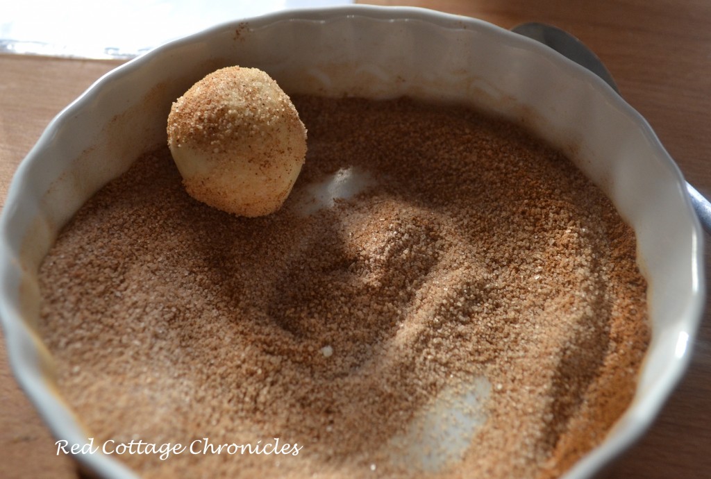 Roll dough into balls about the size of walnuts and roll each in the sugar/cinnamon to coat