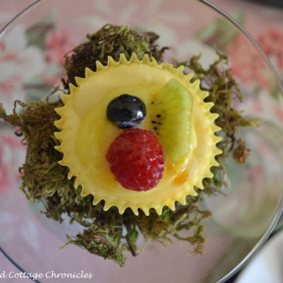 Cheesecake with Fresh Fruit and Lemon Curd