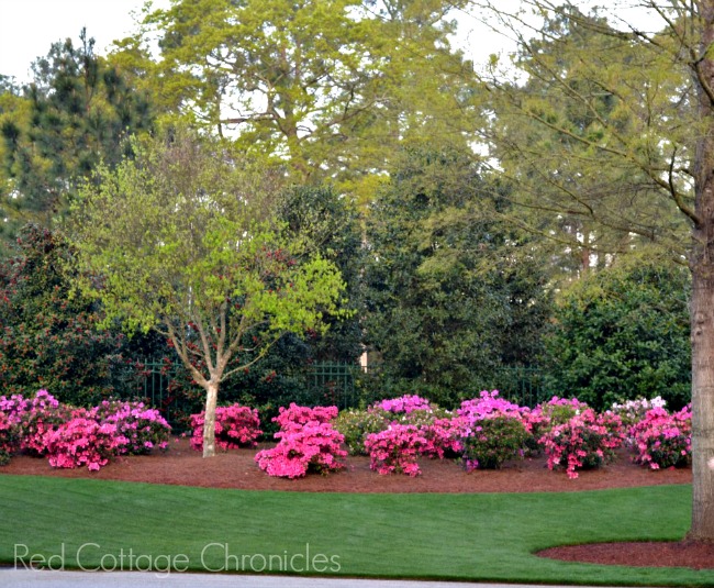 The Masters Augusta National