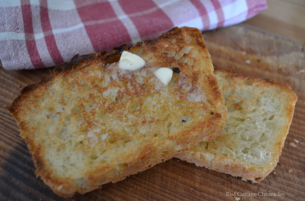 english muffin 8