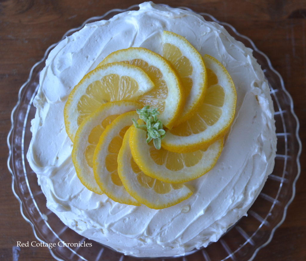 curd cake 5