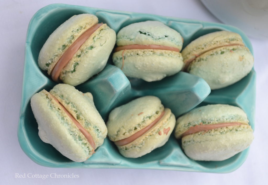 macarons 3