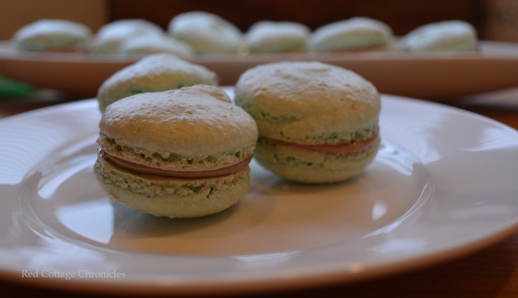 macarons 4