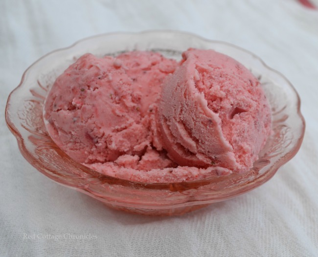 Strawberry Ice Cream 