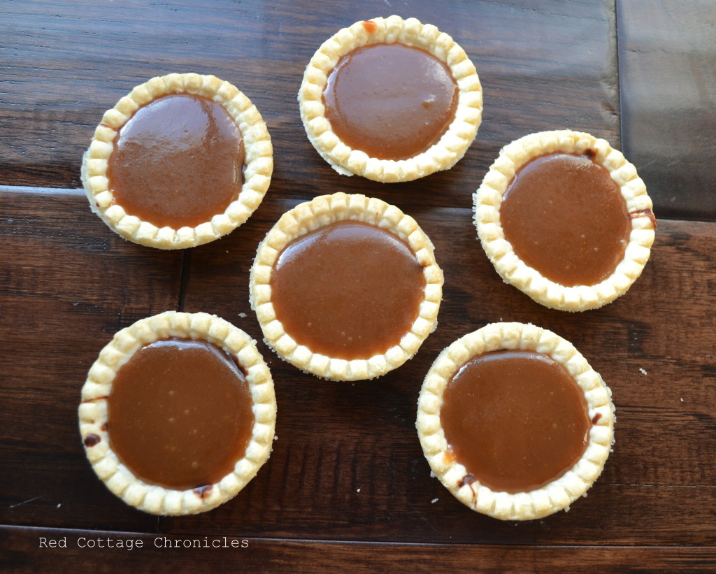 chocolate truffle tarts 3