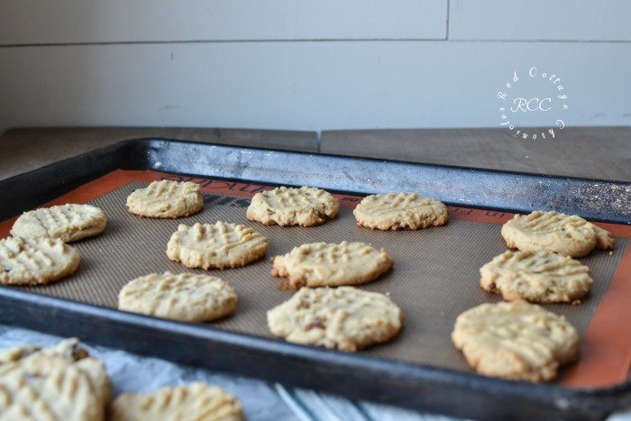 Chewy Peanut Butter Cookies