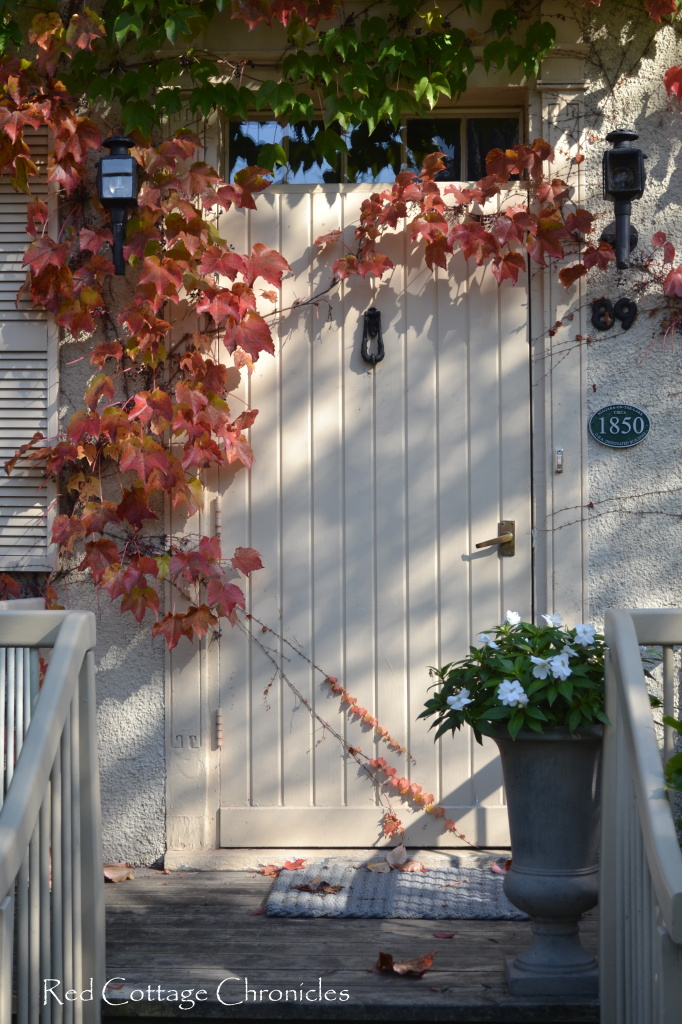 Ivy covered door