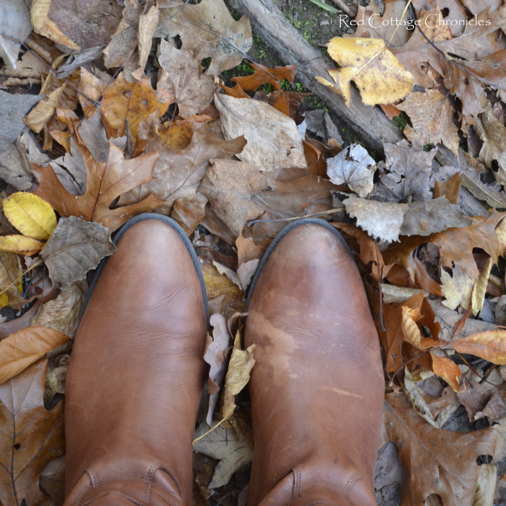 crunchy leaves under foot