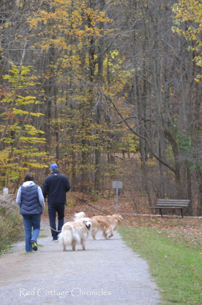 A walk in the park