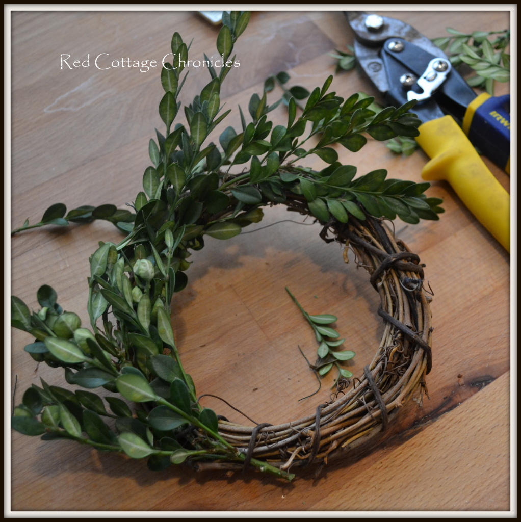 boxwood wreath