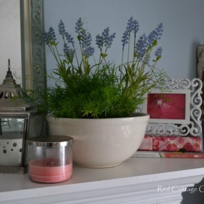 Early Spring Mantel