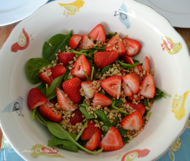 Spinach & Strawberry Salad