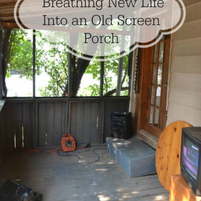 Breathing New Life Into an Old Screen Porch