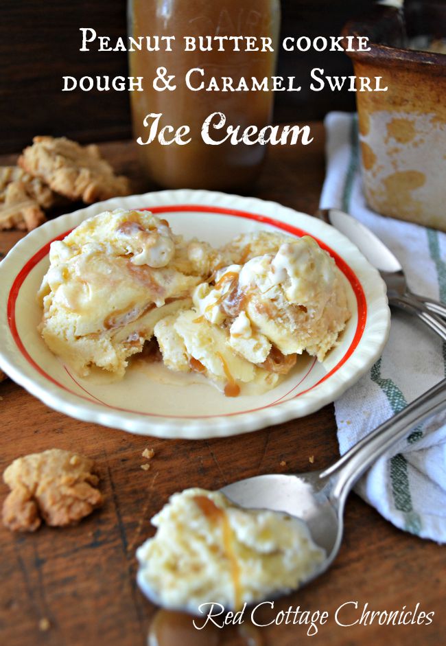 Peanut Butter Cookie Dough and Caramel Swirl Ice Cream