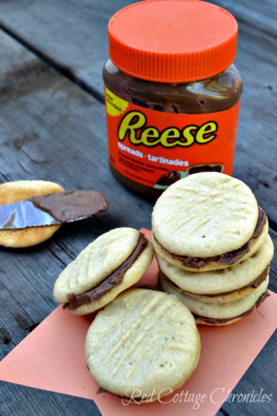 Peanut Butter Chocolate Cookies