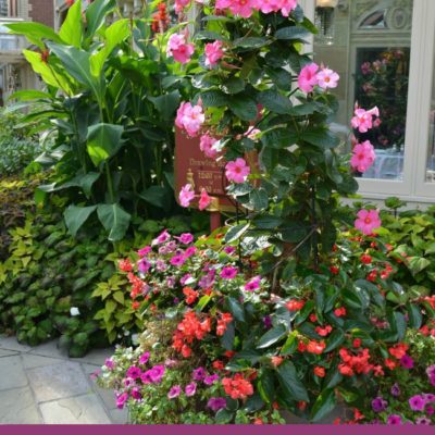 Wordless Wednesday – A Town In Bloom