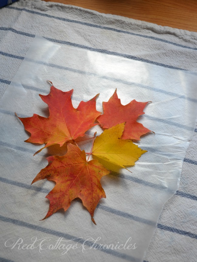 Old School Wax Paper Leaf Project