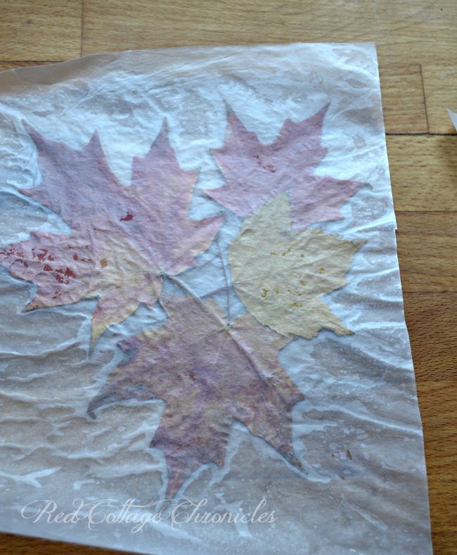 Wax paper craft project