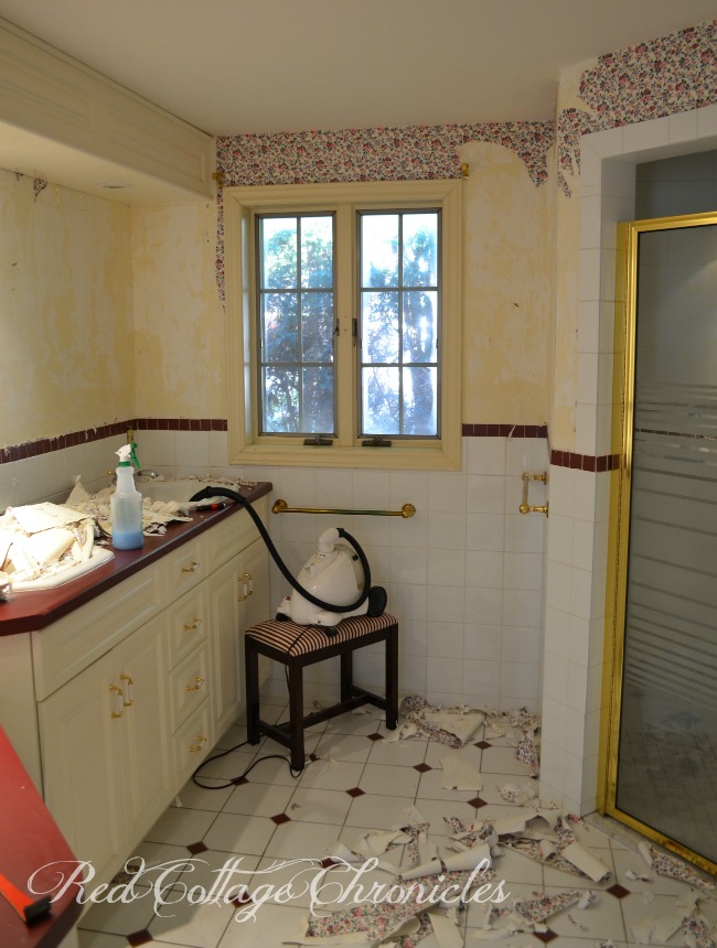 wallpaper stripping