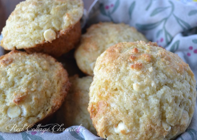 Gay Lea Lemon Smooth Cottage Cheese muffin recipe