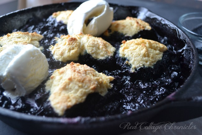 An old fashioned blueberry dessert prepared and baked in a cast iron skillet