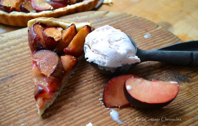 A delicious Plum Tart makes a perfect autumn dessert