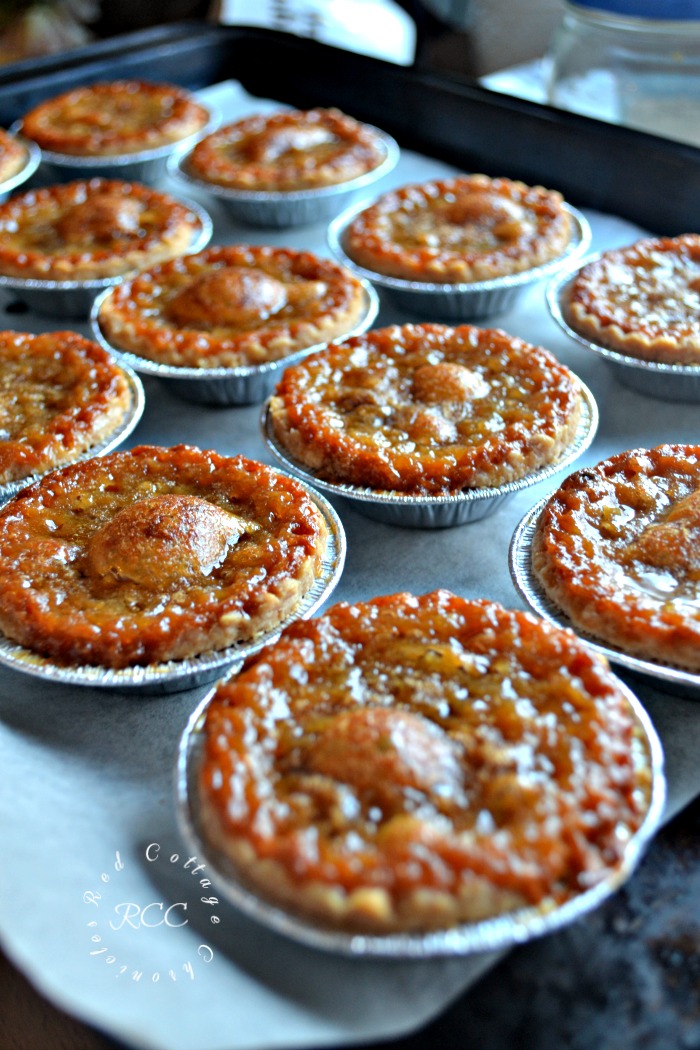 traditional Canadian butter tart