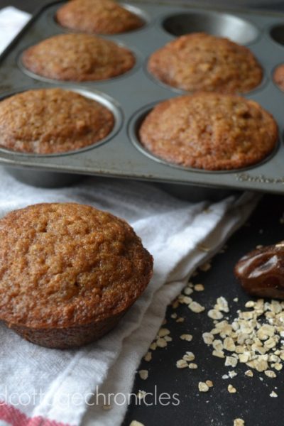 A hearty grab and go breakfast. Oatmeal muffins!