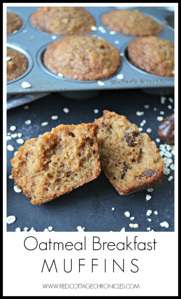 These oatmeal muffins make the perfect breakfast on the go