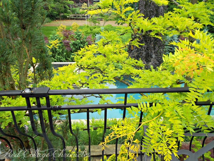 This Secret Garden in Niagara On The Lake creates the ultimate backyard oasis