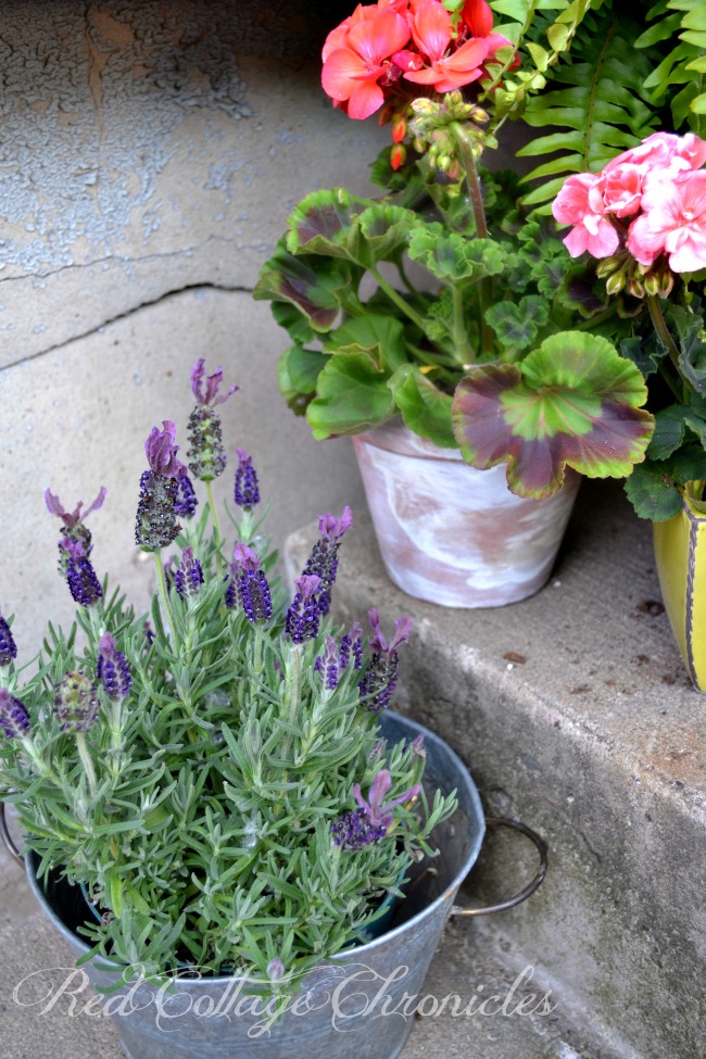 Adding summer style to a small porch