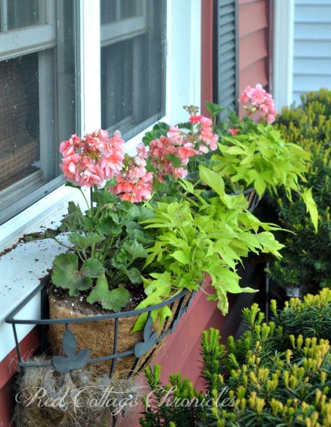 Adding a touch of summer to a small porch