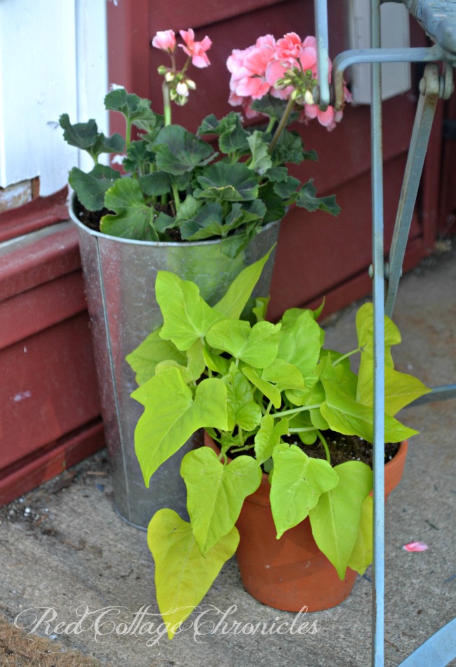 Adding a touch of summer to a small porch