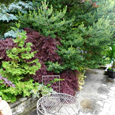 A Secret Garden – A look inside the ultimate private backyard oasis!