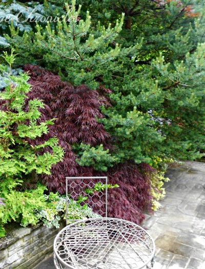 A peek inside a gorgeous backyard secret garden